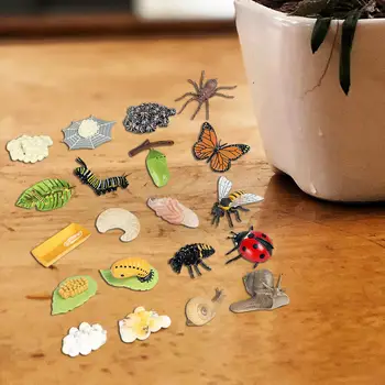 Vabzdžių Gyvenimo Ciklo Plėtros Žaislai Tikroviška Mokymo Priemonės, skirtos Kūdikiams, Vaikams